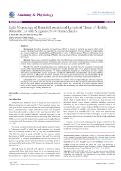 Light Microscopy of Bronchial Associated Lymphoid Tissue of