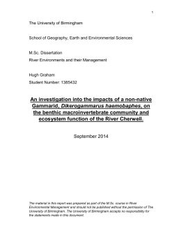 An investigation into the impacts of a non