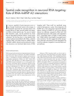 Role of RNA&ndash;hnRNP A2 interactions