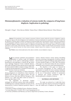 Histomorphometric evaluation of osteons inside the compacta of