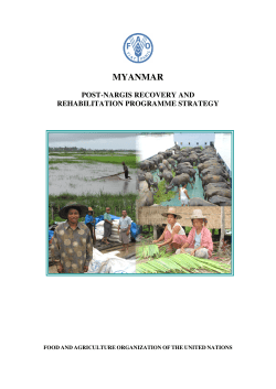 Myanmar - Post-Nargis Recovery and Rehabilitation Programme