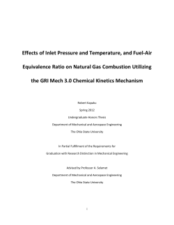 Effects of Inlet Pressure and Temperature, and Fuel
