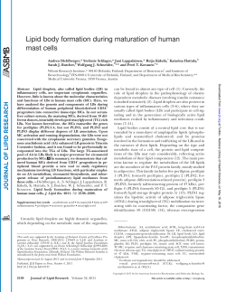 Lipid body formation during maturation of human mast cells