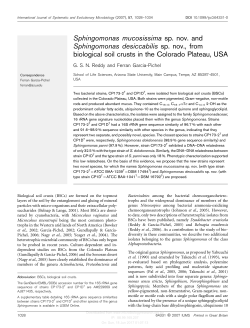 Sphingomonas mucosissima sp. nov. and Sphingomonas