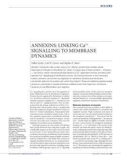 ANNEXINS: LINKING Ca2+ SIGNALLING TO MEMBRANE DYNAMICS