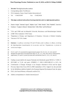 Microalgae synthesize hydrocarbons from long