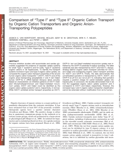 Organic Cation Transport by Organic Cation Transporters and