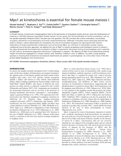 Mps1 at kinetochores is essential for female mouse meiosis I