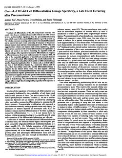 Control of HL-60 Cell Differentiation Lineage