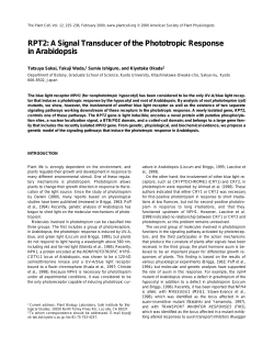 RPT2: A Signal Transducer of the Phototropic Response in