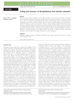 Scaling and structure of dicotyledonous leaf venation