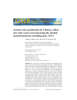 Acetate ester production by Chinese yellow rice wine