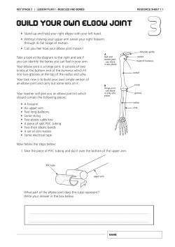 BUILD YOUR OWN ELBOW JOINT