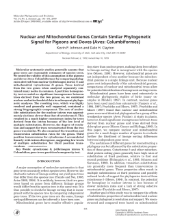Nuclear and Mitochondrial Genes Contain Similar Phylogenetic