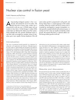 Nuclear size control in fission yeast