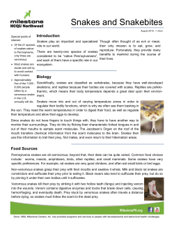 Snakes and Snakebites - Milestone Centers, Inc.