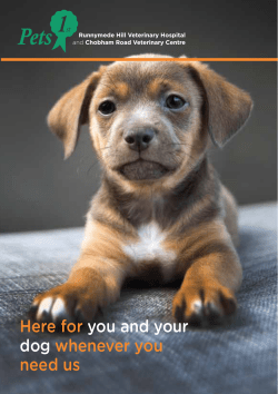 Here for you and your dog whenever you need us