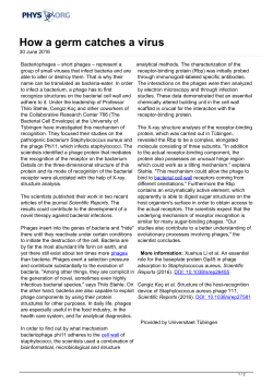 How a germ catches a virus