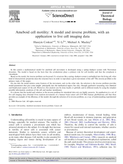 Ameboid cell motility: A model and inverse problem