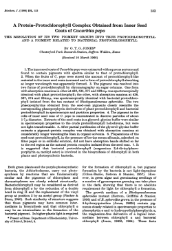 Coats of Cucurbitapepo