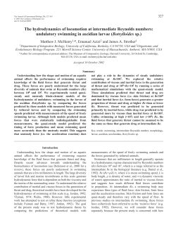 The hydrodynamics of locomotion at intermediate