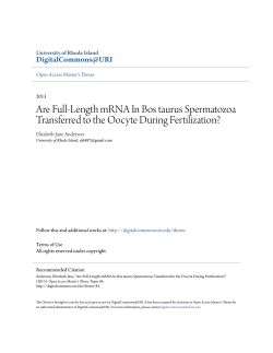 Are Full-Length mRNA In Bos taurus Spermatozoa Transferred to