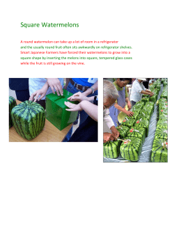Square Watermelons