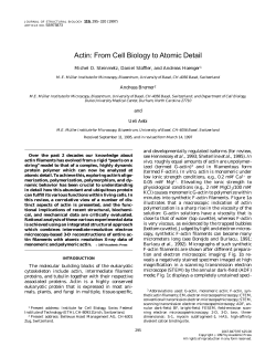 Actin: From Cell Biology to Atomic Detail