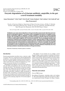 Enzymic degradation of a &beta;-lactam antibiotic, ampicillin, in the gut: a