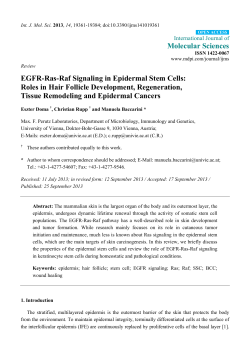 EGFR-Ras-Raf Signaling in Epidermal Stem Cells: Roles in Hair