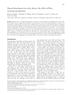 Mussel attachment on rocky shores: the effect of