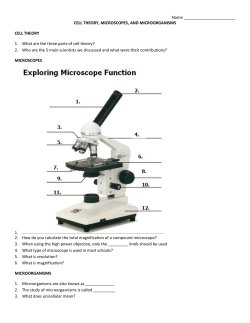 Cell Theory, Microscope, and Microorganism Study Guide