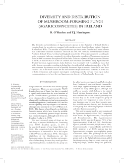DIVERSITY AND DISTRIBUTION OF MUSHROOM