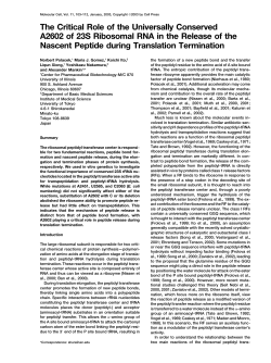 The Critical Role of the Universally Conserved A2602 of 23S