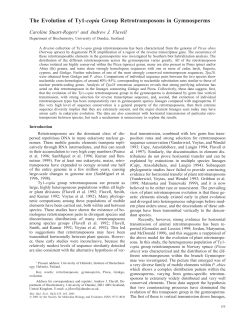 The Evolution of Ty1-copia Group Retrotransposons in Gymnosperms