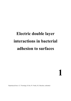 Electric double layer interactions in bacterial adhesion to