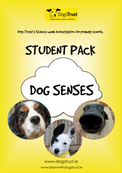 Dogs Trust`s Science week Investigation for primary schools.