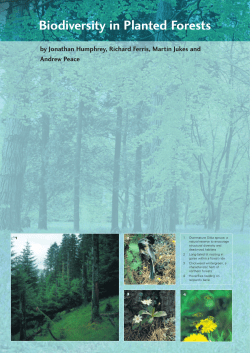 Biodiversity in Planted Forests