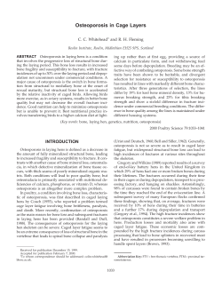 Osteoporosis in Cage Layers