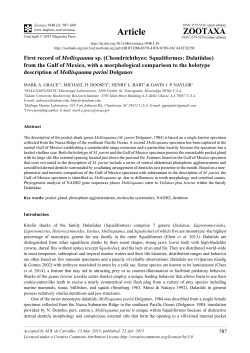 First record of Mollisquama sp. (Chondrichthyes: Squaliformes