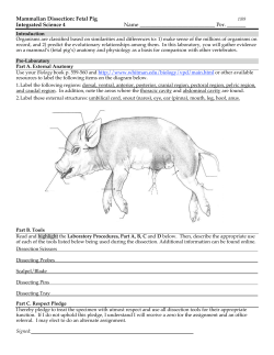 Mammalian Dissection: Fetal Pig Integrated Science 4 Name Per
