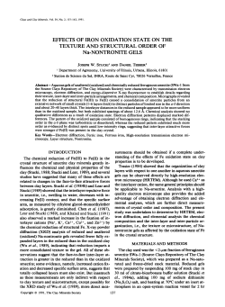 EFFECTS OF IRON OXIDATION STATE ON THE TEXTURE AND
