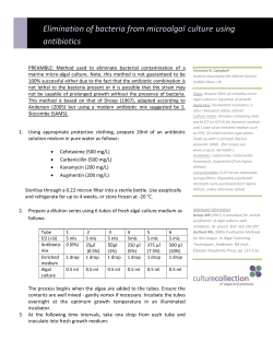 Elimination of bacteria from microalgal culture using antibiotics