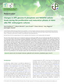 Changes in ATP, glucose-6-phosphate and NAD (P) H cellular