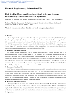 Supplementary Information