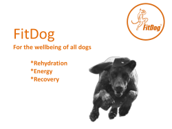 Produktdatenblatt - Anne&acute;s Hundespielwiese