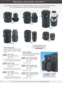 modular accessory system