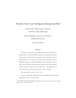 Portfolio Choice and Ambiguous Background Risk