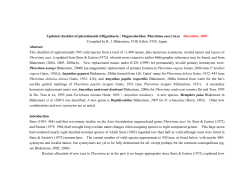 Amynthas - Annelid Resources at annelida.net