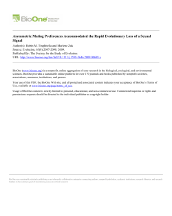 Asymmetric Mating Preferences Accommodated the Rapid